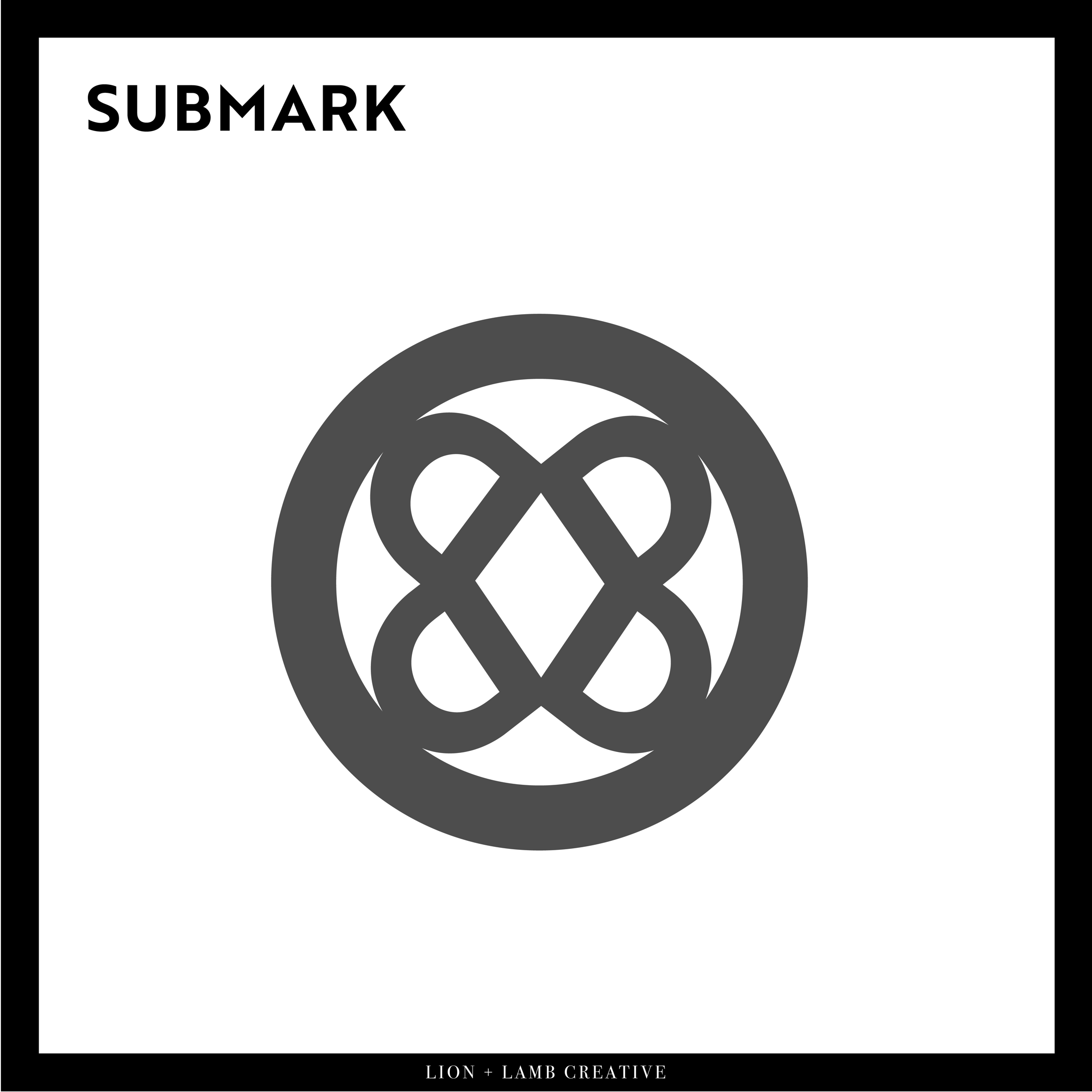 Circular Precision Drone Imaging submark